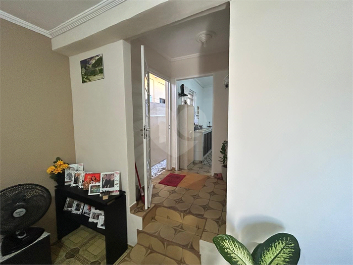 Foto REO1093728
