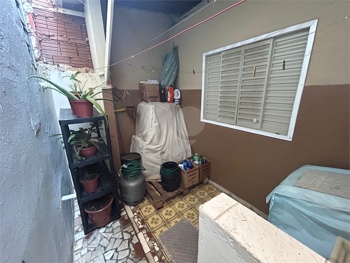 Foto REO1093728