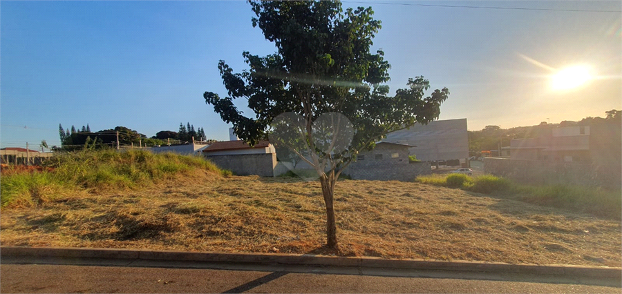 Foto REO1093735