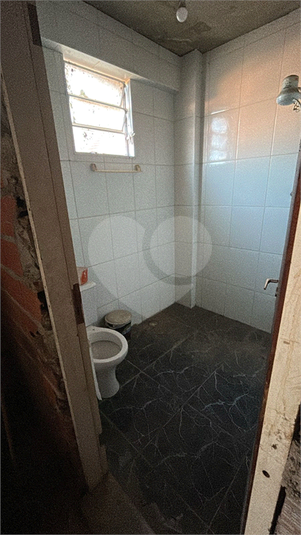Foto REO1093736