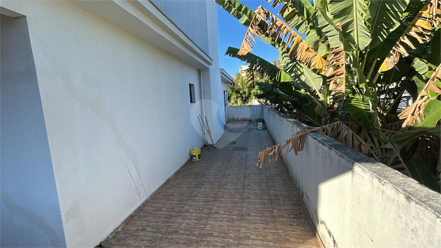Foto REO1093736