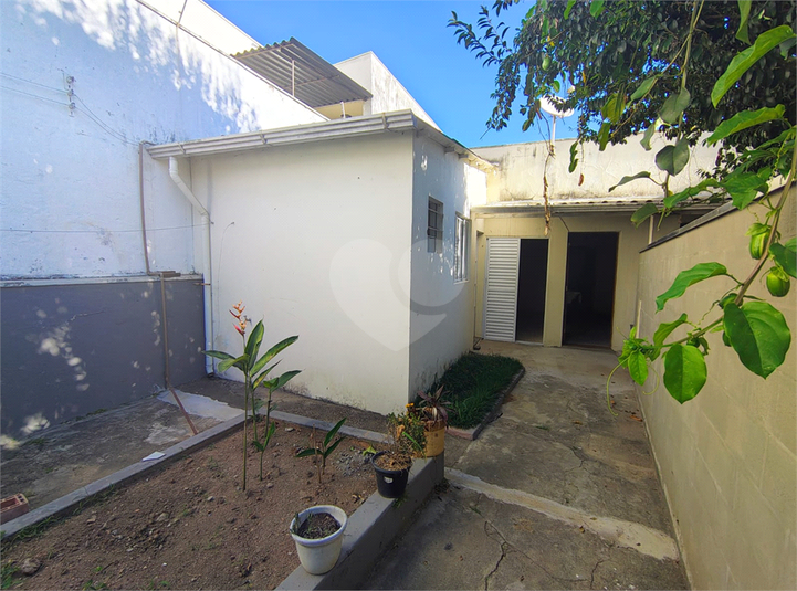 Foto REO1093739