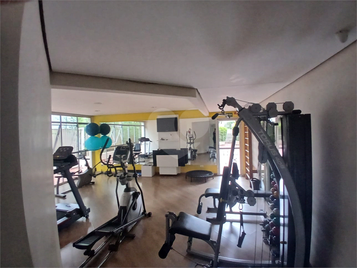 Foto REO1093740
