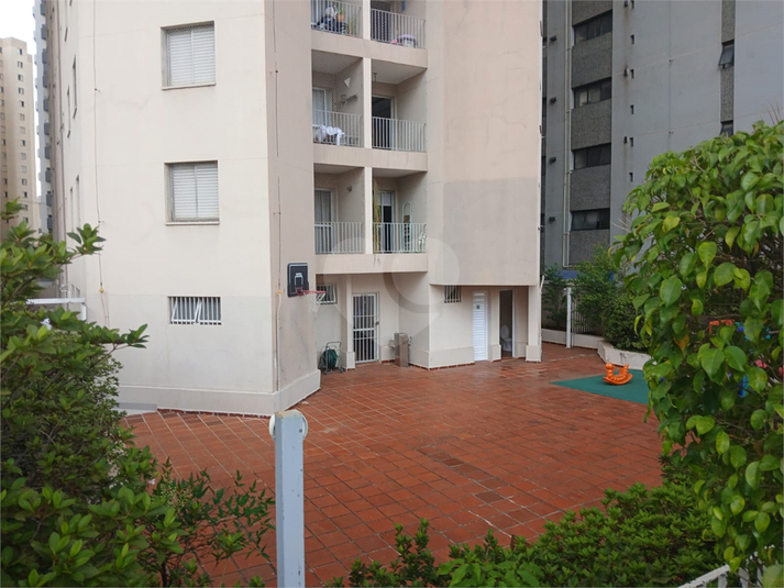 Foto REO1093740