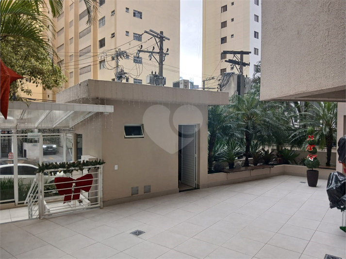 Foto REO1093740