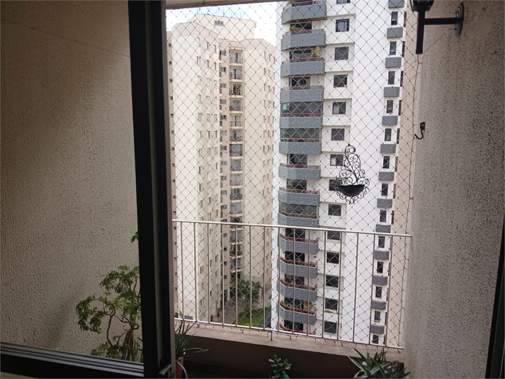 Foto REO1093740