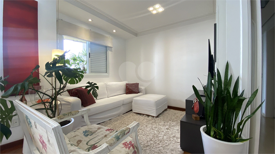 Foto REO1093745