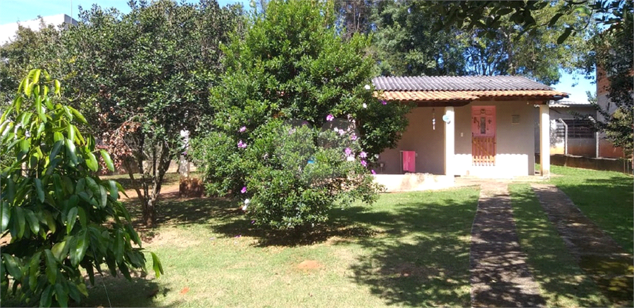 Foto REO1093755