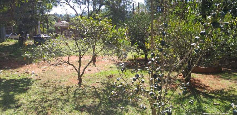Foto REO1093755