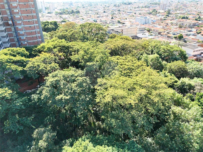 Foto REO1093763