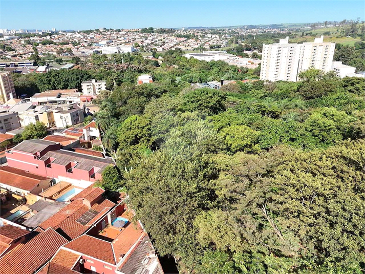 Foto REO1093763