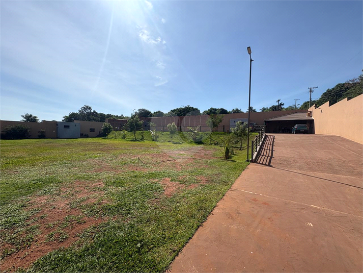 Foto REO1093767