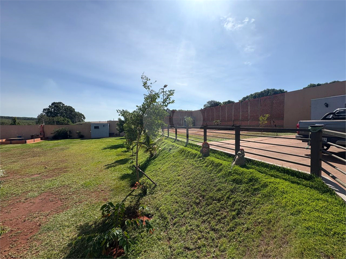 Foto REO1093767