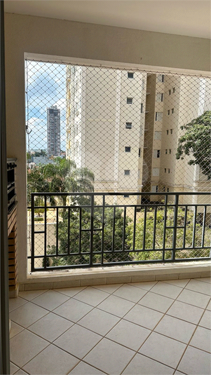 Foto REO1093768