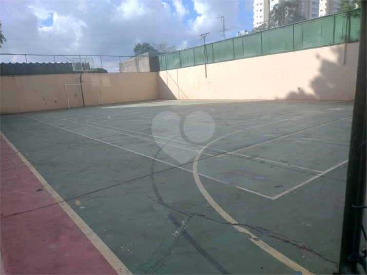 Foto REO1093777