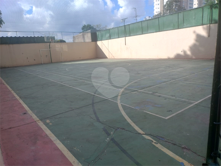 Foto REO1093777