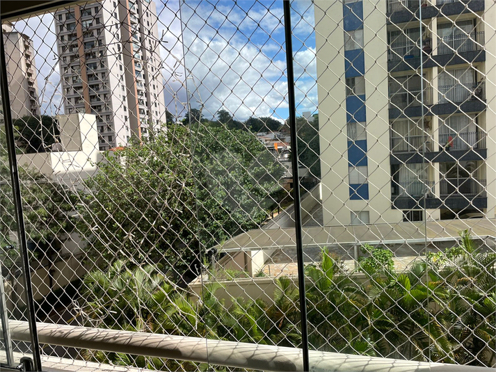 Foto REO1093777