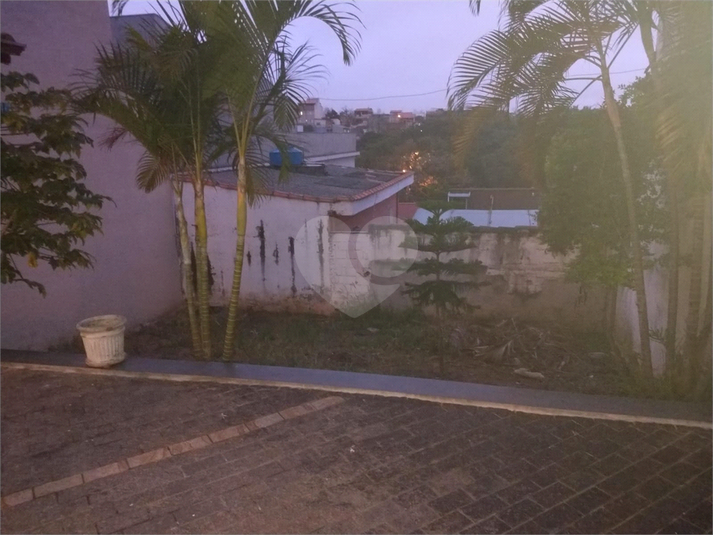 Foto REO1093779