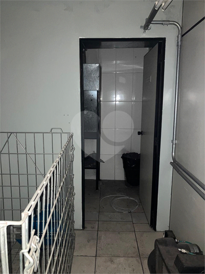 Foto REO1093784