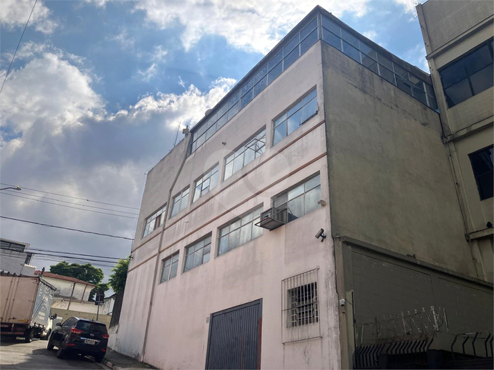 Foto REO1093784
