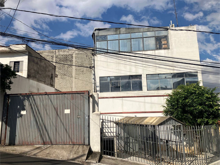 Foto REO1093784