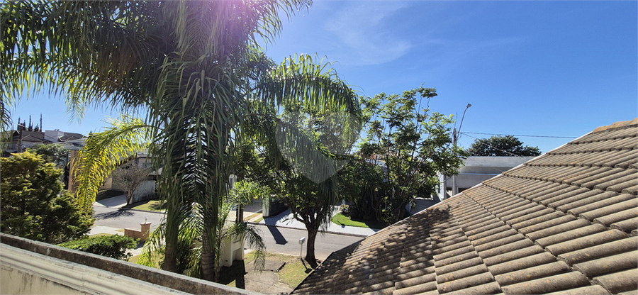 Foto REO1093786