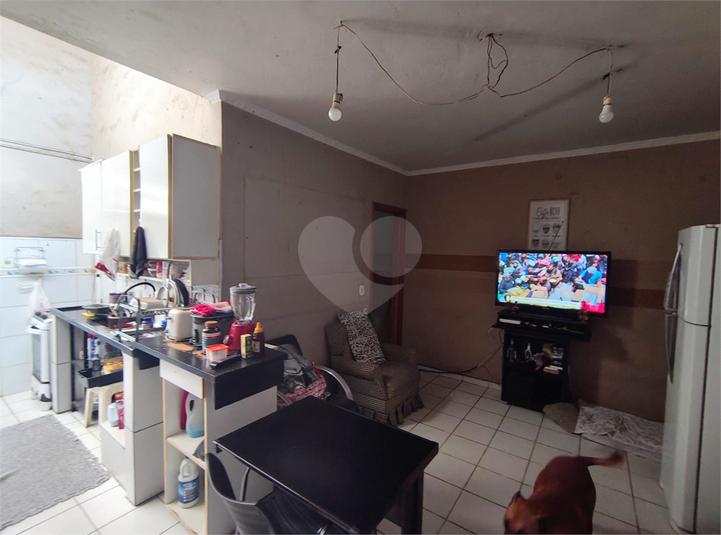 Foto REO1093790