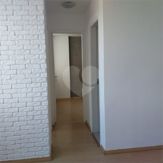 Foto REO1093802
