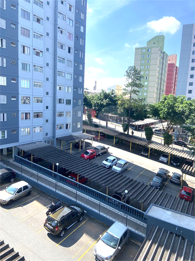 Foto REO1093812