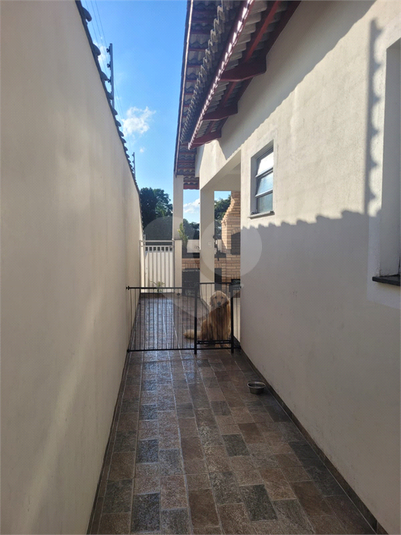 Foto REO1093813
