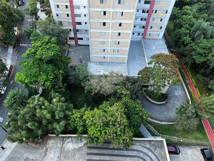 Foto REO1093815