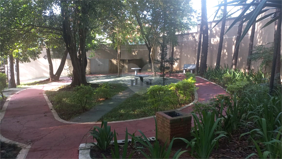 Foto REO1093815