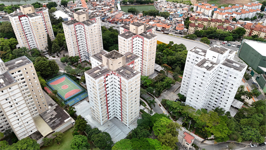 Foto REO1093815