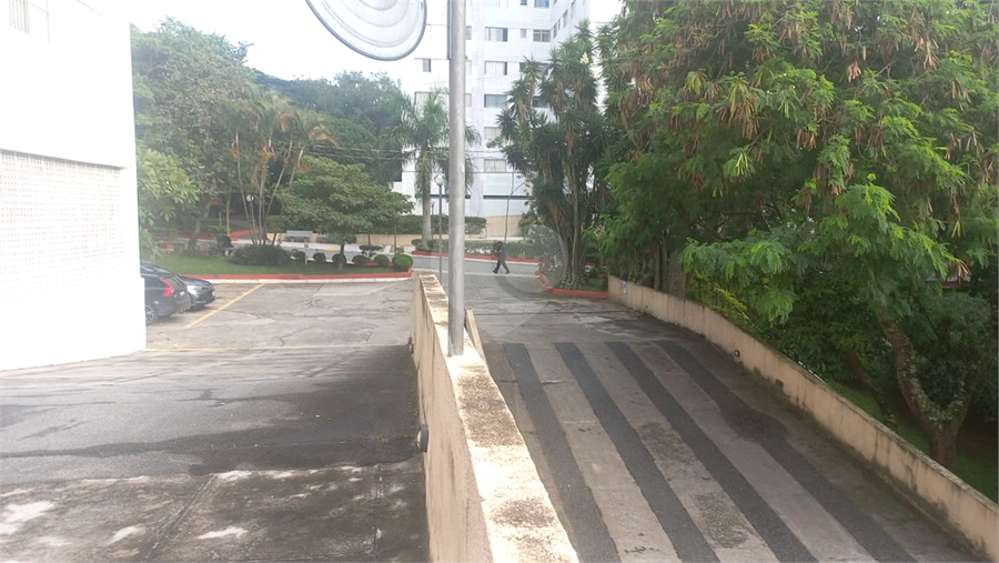Foto REO1093815