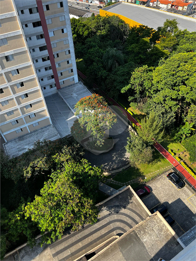 Foto REO1093815