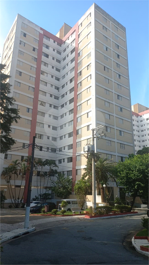 Foto REO1093815