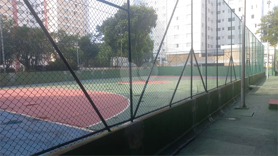 Foto REO1093815
