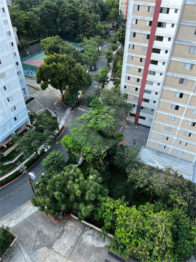 Foto REO1093815
