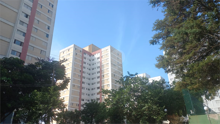 Foto REO1093815