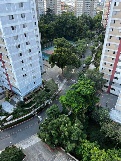 Foto REO1093815