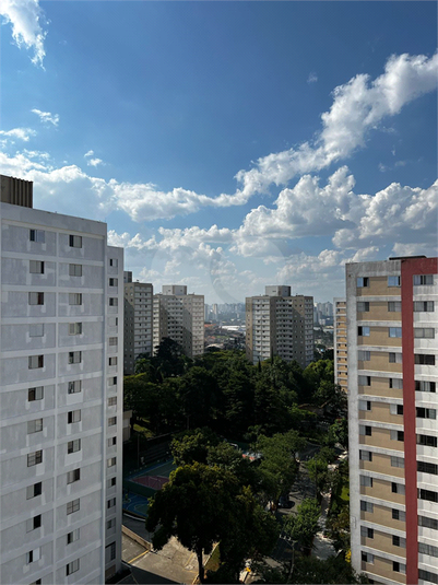 Foto REO1093815