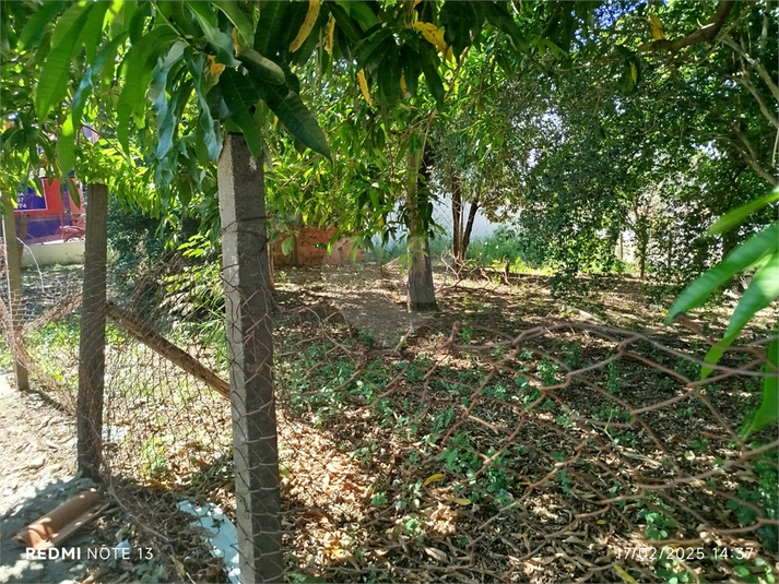 Foto REO1093820