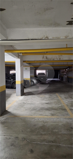 Foto REO1093822
