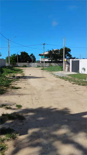 Foto REO1093828