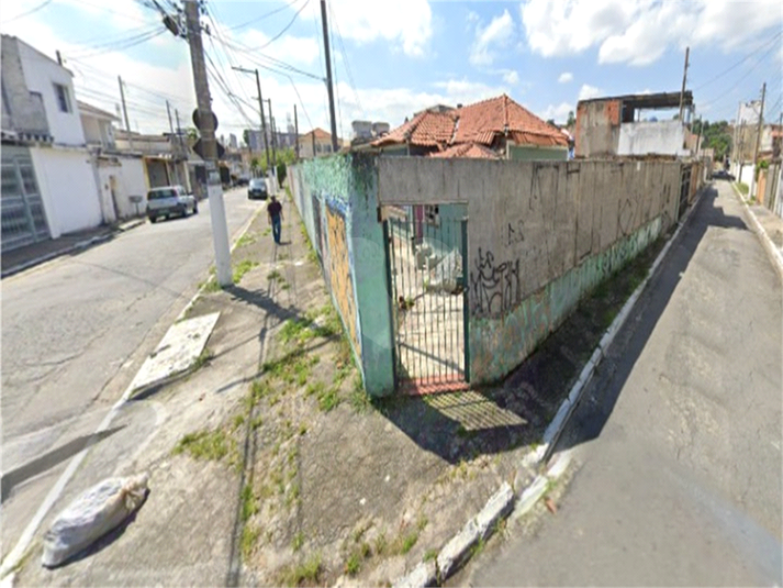 Foto REO1093829
