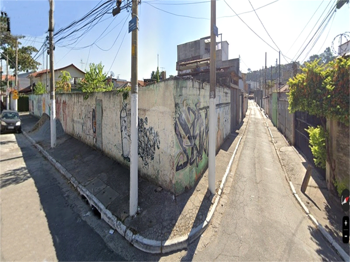 Foto REO1093829
