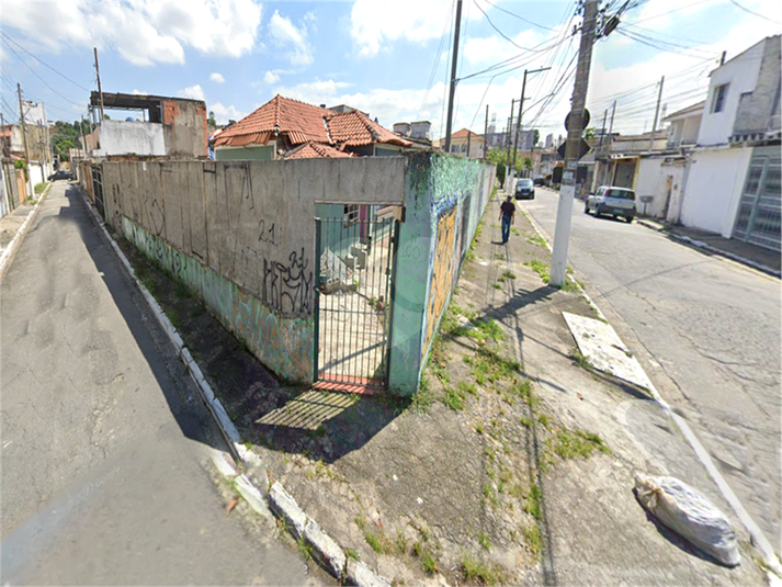Foto REO1093829