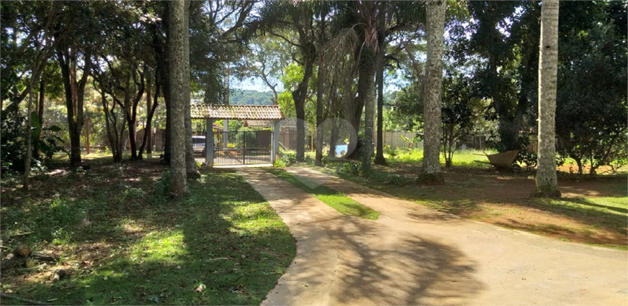 Foto REO1093830
