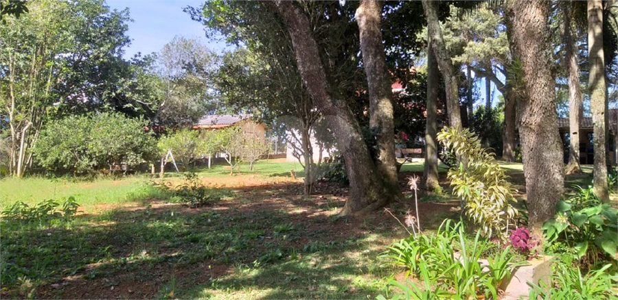 Foto REO1093830