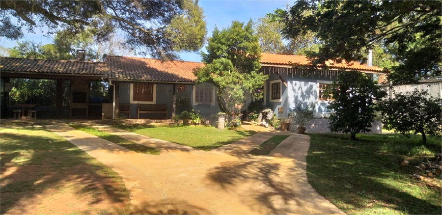 Foto REO1093838